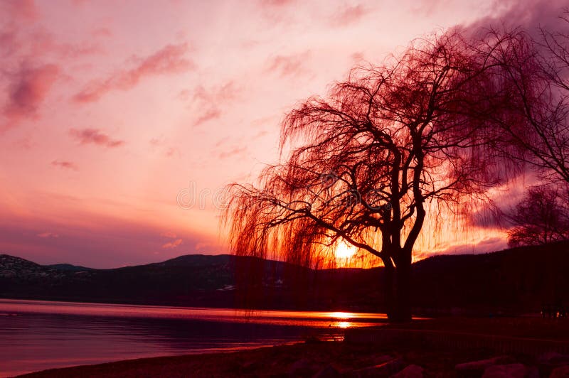 Ajuste Sun no lago Okanagan imagens de stock Ajuste Sun no lago Okanagan imagens de stock