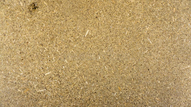 Akcyjna makro- fotografia tekstura drewno zdjęcia royalty free Akcyjna makro- fotografia tekstura drewno zdjęcia royalty free