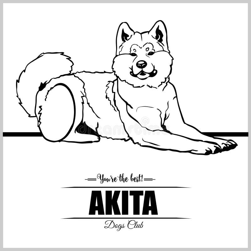 Akita Inu Dog - Vector Set Isolated Illustration on White Background