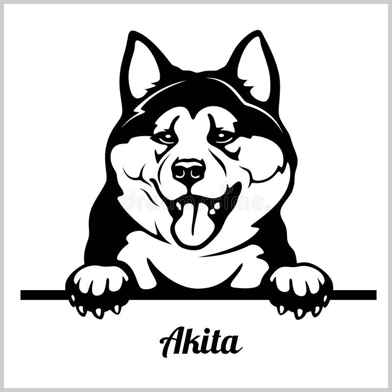 Akita - Peeking Dogs - breed face head isolated on white