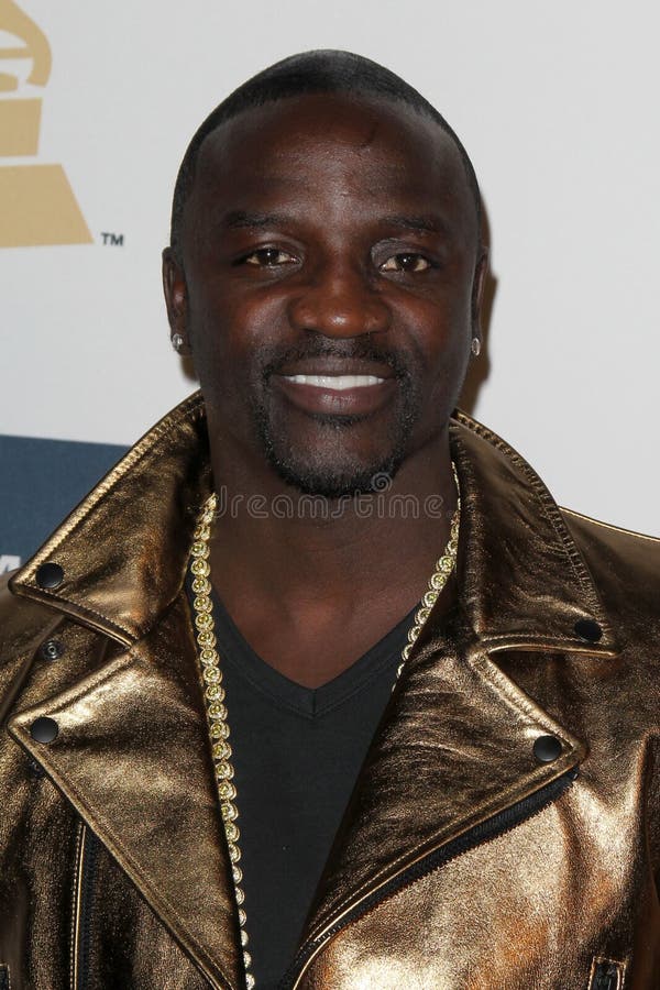 LOS ANGELES - FEB 9: Akon arrives at the Clive Davis 2013 Pre-GRAMMY Gala at the Beverly Hilton Hotel on February 9, 2013 in Beverly Hills, CA