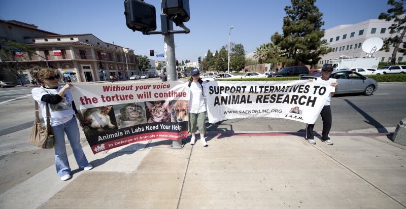 aktywisty zwierzęcia protest wyprostowywa ucla zdjęcie stock aktywisty zwierzęcia protest wyprostowywa ucla zdjęcie stock