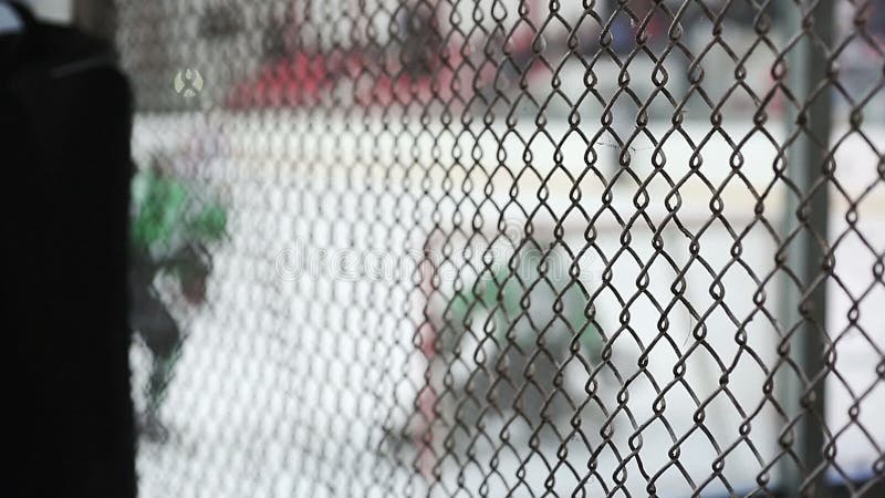 Aktywnego atak drużyna hokejowa gracze na rywal sieci, bramkarz pozwala wewnątrz cel