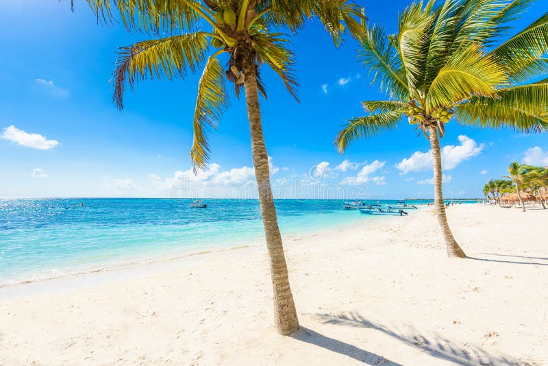 Akumal strand - paradisfjärdstrand i Quintana Roo, Mexico royaltyfri foto Akumal strand - paradisfjärdstrand i Quintana Roo, Mexico royaltyfri foto