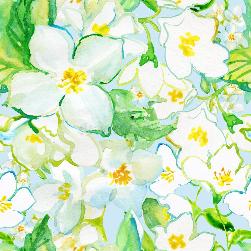 Akwarela bezszwowy wzór Jusmine kwiaty ilustracja wektor Akwarela bezszwowy wzór Jusmine kwiaty ilustracja wektor