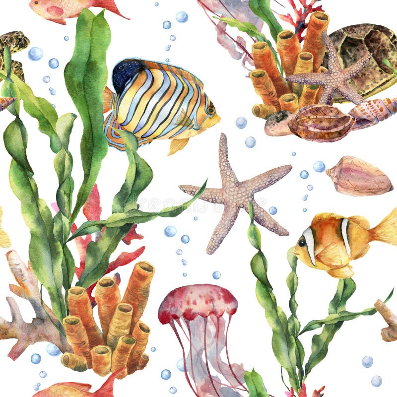 Akwarela bezszwowy wzór z laminaria gałąź, rafą koralowa i dennymi zwierzętami, Ręki malujący jellyfish, rozgwiazda ilustracja wektor