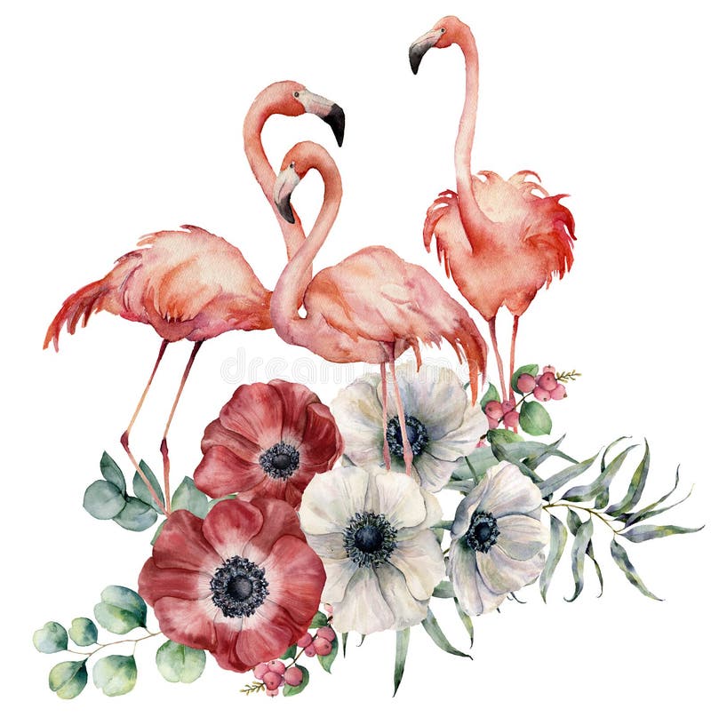 Akwarela flaming z anemonowym bukietem Wręcza malujących egzotycznych ptaki z kwiatami, eukaliptusów liśćmi i gałąź odizolowywają ilustracji Akwarela flaming z anemonowym bukietem Wręcza malujących egzotycznych ptaki z kwiatami, eukaliptusów liśćmi i gałąź odizolowywają ilustracji