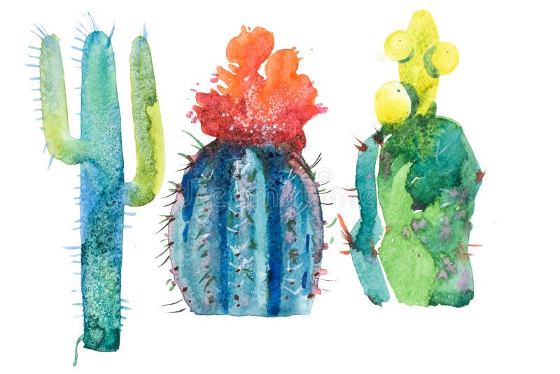 Akwarela kwiatu ręka rysujący spiky kaktusowy kwiat ilustracja wektor Akwarela kwiatu ręka rysujący spiky kaktusowy kwiat ilustracja wektor