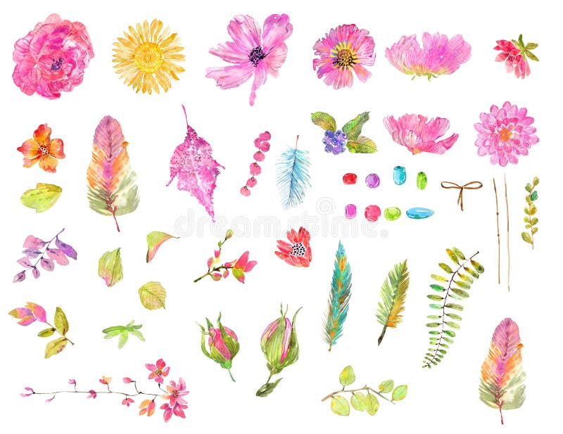 Akwarela kwiecistego projekta piękny set ilustracji Akwarela kwiecistego projekta piękny set ilustracji