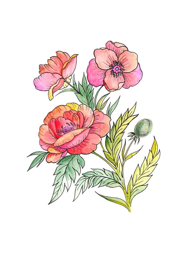 Akwarela obraz czerwoni maczków kwiaty ilustracji Akwarela obraz czerwoni maczków kwiaty ilustracji