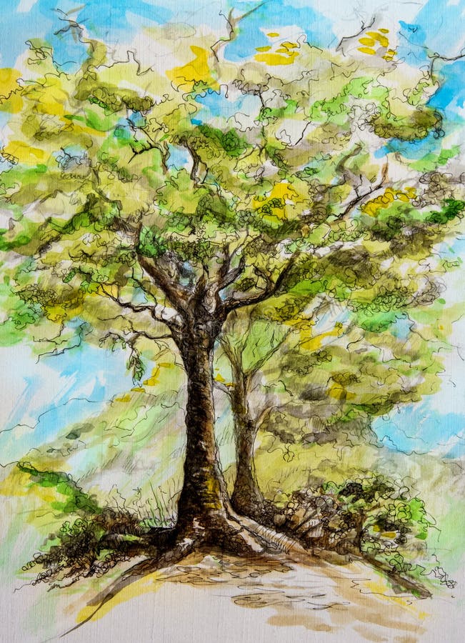 Akwarela obraz drzewo na wiosna dniu ilustracji Akwarela obraz drzewo na wiosna dniu ilustracji
