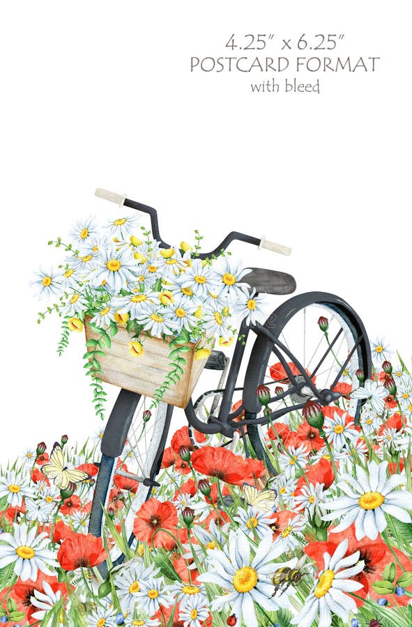 Akwarela pocztówkowy szablon z czarnym bicyklu i kwiatu koszem ilustracji