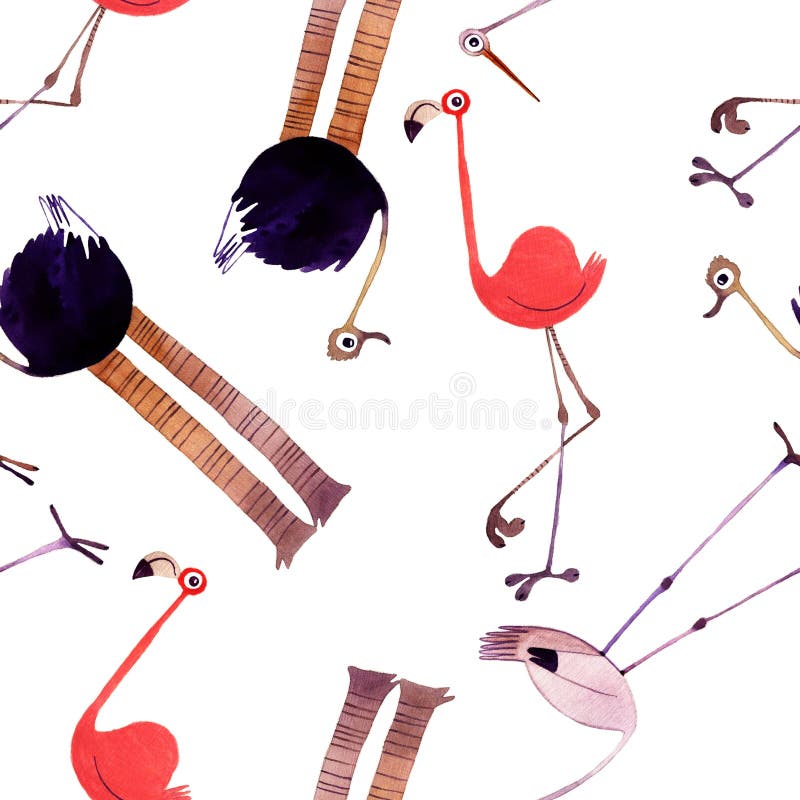 Akwarela ptaka set Flaming, struś, bocianowa ręka malował ilustrację royalty ilustracja Akwarela ptaka set Flaming, struś, bocianowa ręka malował ilustrację royalty ilustracja