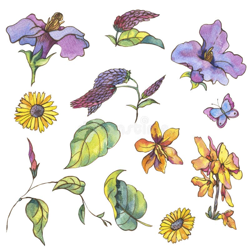 Akwarela ustawiająca purpurowi żółci wildflowers, kędziory i butterfli, royalty ilustracja Akwarela ustawiająca purpurowi żółci wildflowers, kędziory i butterfli, royalty ilustracja