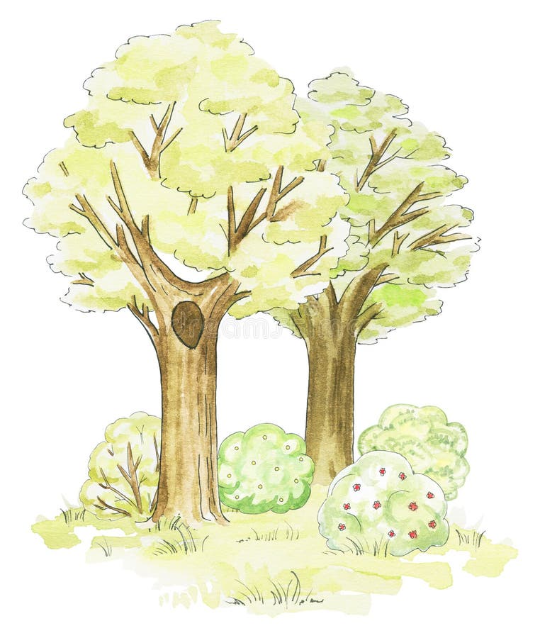 Akwareli drzewa, trawa i krzaki, ilustracji Akwareli drzewa, trawa i krzaki, ilustracji