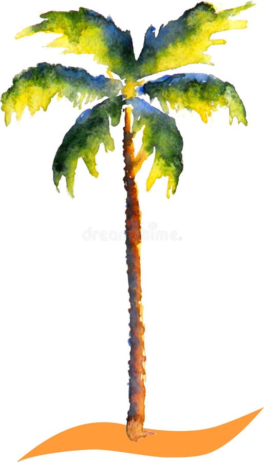 Download Akwareli drzewko palmowe ilustracja wektor. Ilustracja złożonej z coco - 53786928