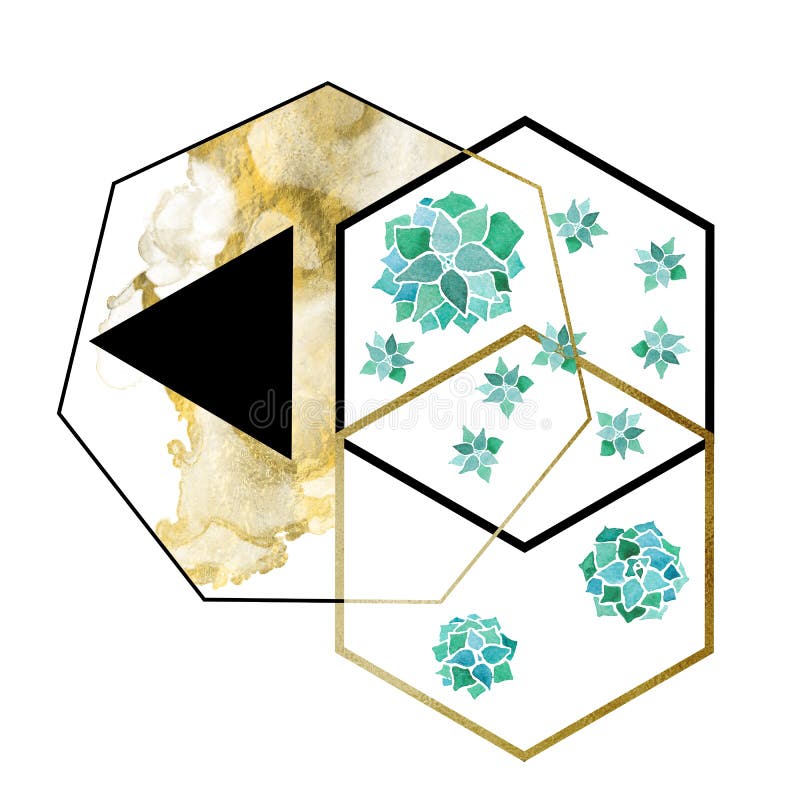 Akwareli echeveria sukulenty, sześciokąty i trójboka geometrical minimalistyczny nowożytny skład dalej złoci i czarni ilustracji Akwareli echeveria sukulenty, sześciokąty i trójboka geometrical minimalistyczny nowożytny skład dalej złoci i czarni ilustracji