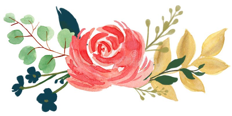 Akwareli flor rocznika artystycznej różanej peoni kwiatu abstrakcjonistyczny arr