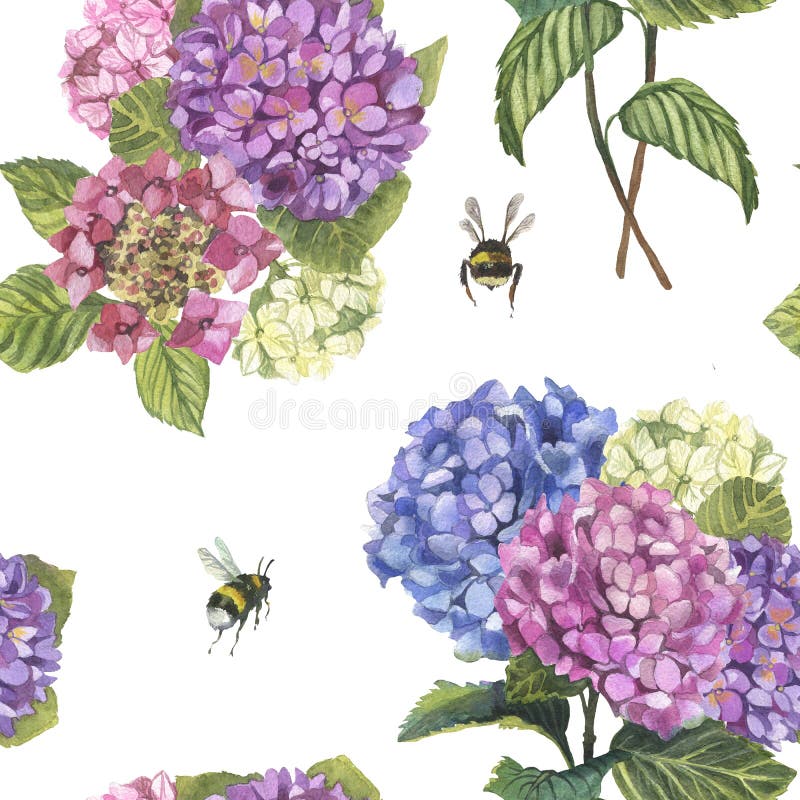 Akwareli hydragenia bezszwowy wzór, gałąź i bumblebees obraz royalty free Akwareli hydragenia bezszwowy wzór, gałąź i bumblebees obraz royalty free