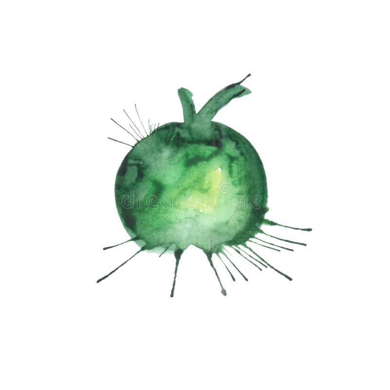 Akwareli ilustracja zielony Apple ilustracja wektor Akwareli ilustracja zielony Apple ilustracja wektor