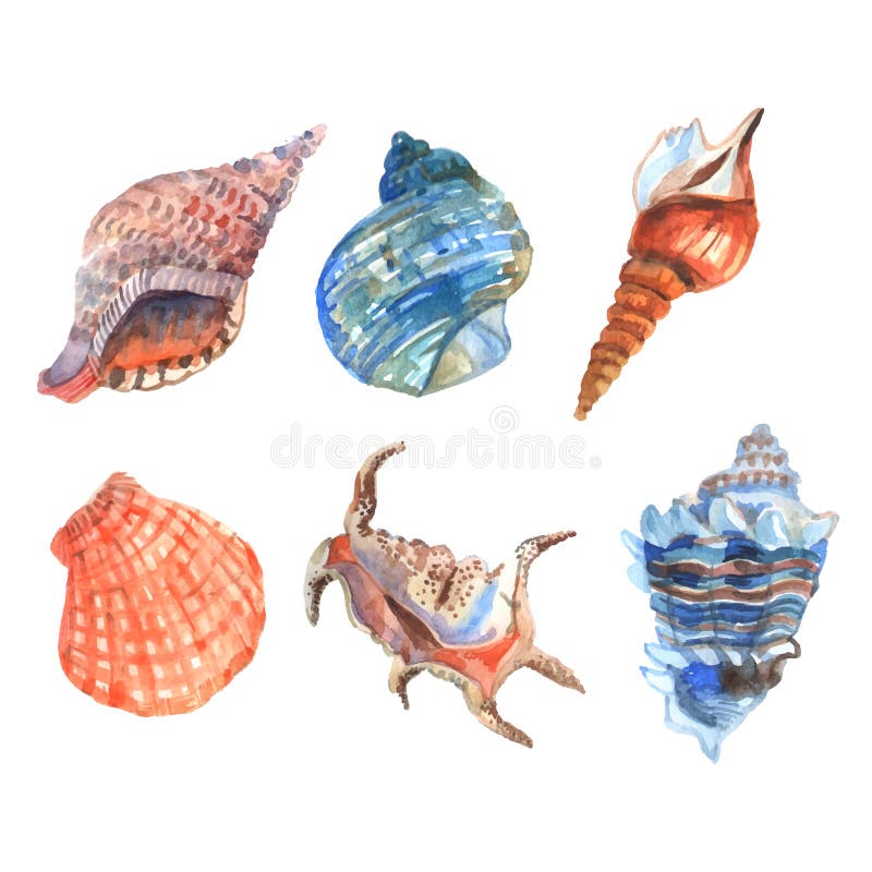 Akwareli Shell set royalty ilustracja Akwareli Shell set royalty ilustracja