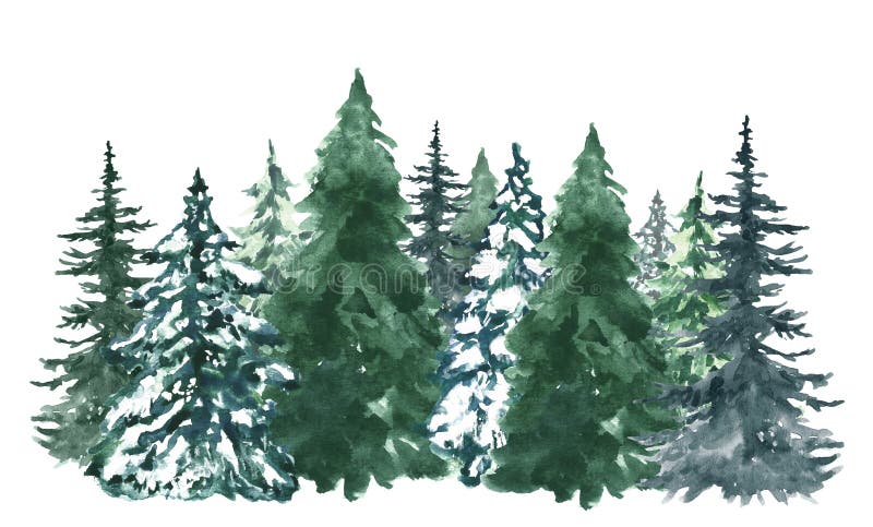 Akwareli sosen tło Sztandar z ręką malował sosnowego las, odizolowywającego Śnieżna zimy kraina cudów ilustracja dla