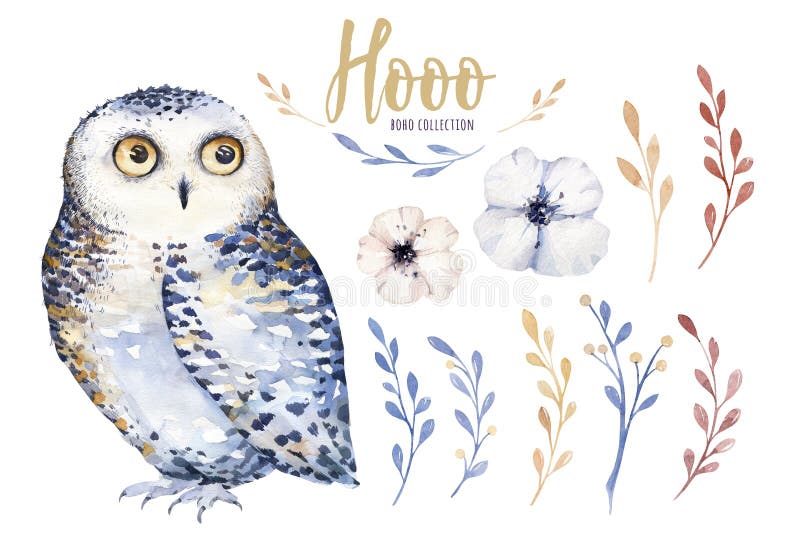 Akwareli sowa z kwiatami i piórkiem Ręka rysująca odizolowywająca ilustracja z ptakiem w boho stylu Pepiniera printable ilustracji Akwareli sowa z kwiatami i piórkiem Ręka rysująca odizolowywająca ilustracja z ptakiem w boho stylu Pepiniera printable ilustracji