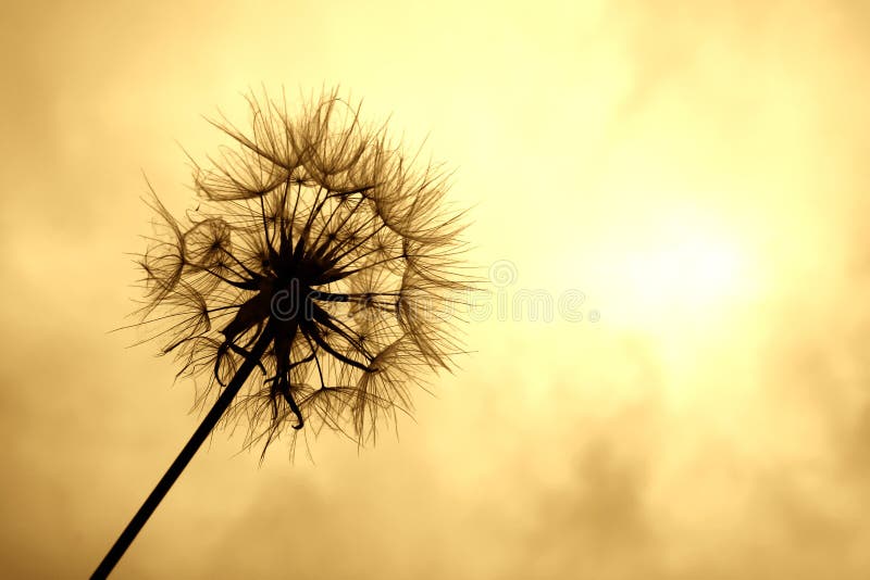 Al sole fotografie stock libere da diritti Al sole fotografie stock libere da diritti