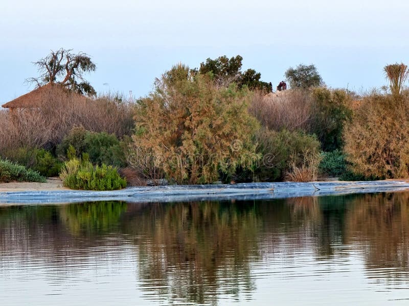 The Al Wathba lake campsite has capacity for 120 people and you can set up tents or use an RV to take in the beauty of the desert up close. The camp also includes 24 picnic sites with space for barbecues and 3,000 square metres of recreation space for over 500 visitors.Looking to get active while taking in the stunning desert landscape? The project also has 1,400 metres of walking and running track around the lake, a 1,200-metre cycle path, two volleyball courts and seven playgrounds. Phew. You can also climb up to one of the site’s two observation decks to take in the panoramic views. The Al Wathba lake campsite has capacity for 120 people and you can set up tents or use an RV to take in the beauty of the desert up close. The camp also includes 24 picnic sites with space for barbecues and 3,000 square metres of recreation space for over 500 visitors.Looking to get active while taking in the stunning desert landscape? The project also has 1,400 metres of walking and running track around the lake, a 1,200-metre cycle path, two volleyball courts and seven playgrounds. Phew. You can also climb up to one of the site’s two observation decks to take in the panoramic views.