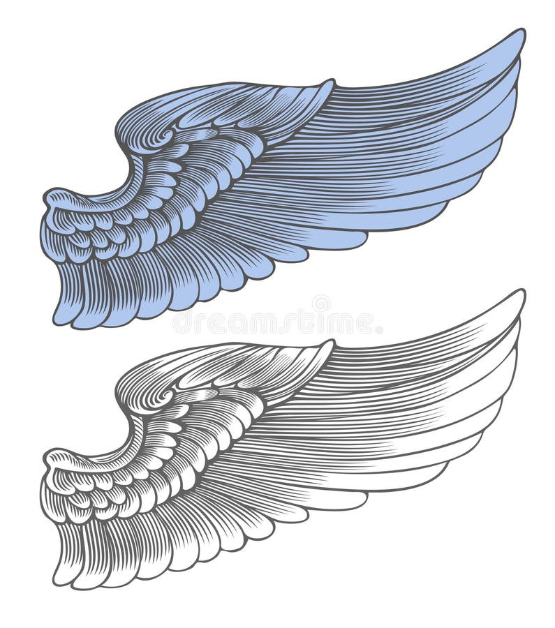 Alas Dibujadas Mano Del ángel Ilustración del Vector - Ilustración de  paloma, imagen: 31718703