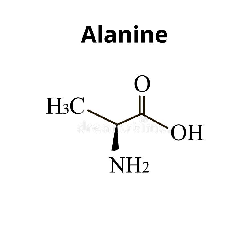 Betuttelen musical zeil Alanine is Een Aminozuur. Chemisch Moleculair Formulealanine Aminozuur. in  Geïsoleerde Vectorillustratie Achtergrond Vector Illustratie - Illustration  of geïsoleerd, beta: 213223629