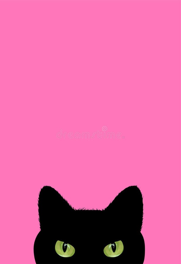 funny black cat making angry face on pink background Stock Photo