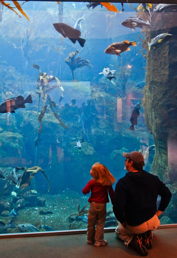 Alaska - Family Visiting Sea Life Center royalty free stock image Alaska - Family Visiting Sea Life Center royalty free stock image