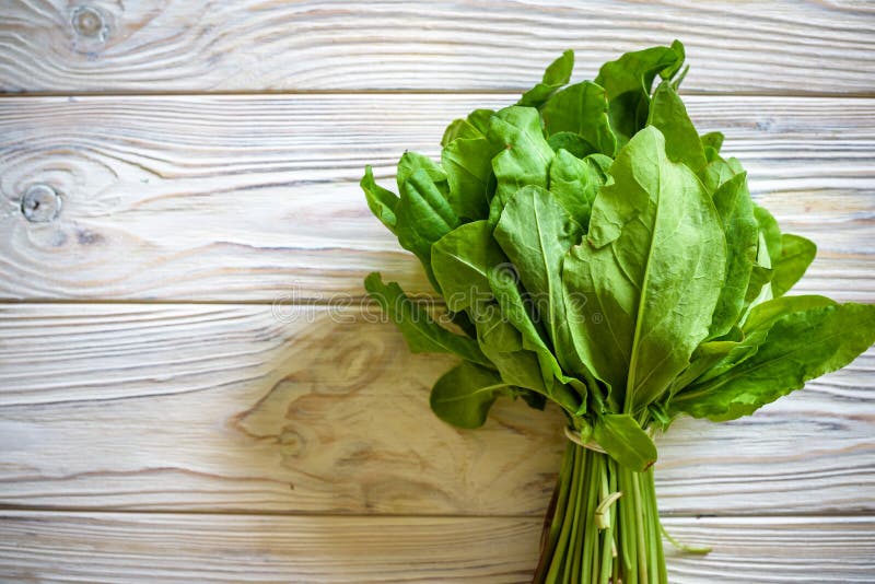 Alaz?n org?nico fresco, manojo de la planta de espinaca en la tabla de madera para la ensalada de la sopa de verduras del verde d foto de archivo libre de regalías Alaz?n org?nico fresco, manojo de la planta de espinaca en la tabla de madera para la ensalada de la sopa de verduras del verde d foto de archivo libre de regalías