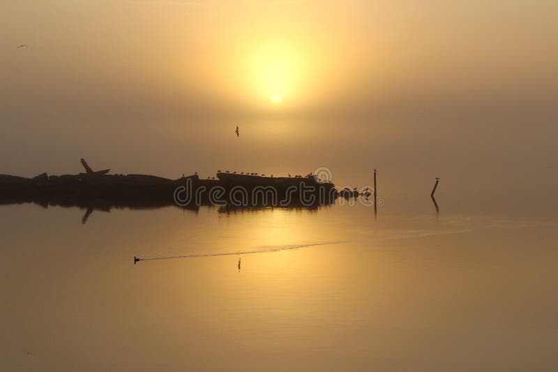 Alba arancione immagine stock Alba arancione immagine stock