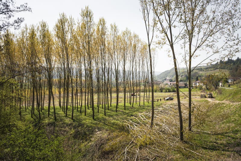 Piemonte Vineyards Barolo Langhe Alba Italy Stock Image - Image of ...