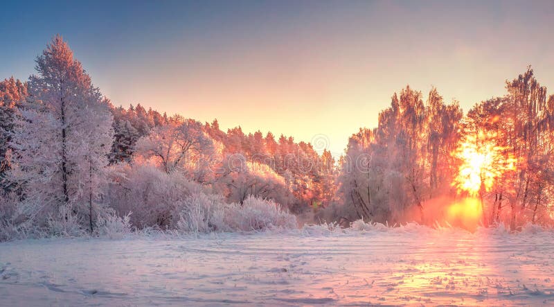Alba del paesaggio di mattina di inverno