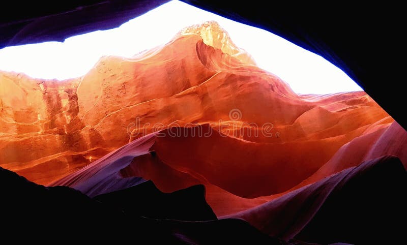 Alba dell'antilope fotografia stock libera da diritti Alba dell'antilope fotografia stock libera da diritti