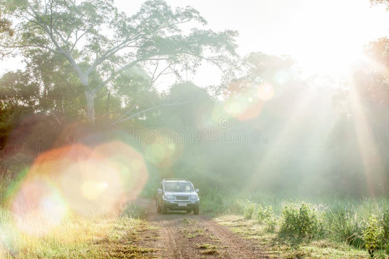 Alba fantastica che splende tramite gli alberi selvaggi sul pascolo e l'automobile d'argento di SUV sulla strada non asfaltata ne fotografie stock Alba fantastica che splende tramite gli alberi selvaggi sul pascolo e l'automobile d'argento di SUV sulla strada non asfaltata ne fotografie stock
