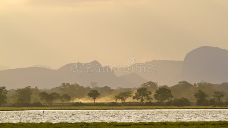 Alba in lagoo della baia di Arugam, Sri Lanka immagine stock libera da diritti Alba in lagoo della baia di Arugam, Sri Lanka immagine stock libera da diritti