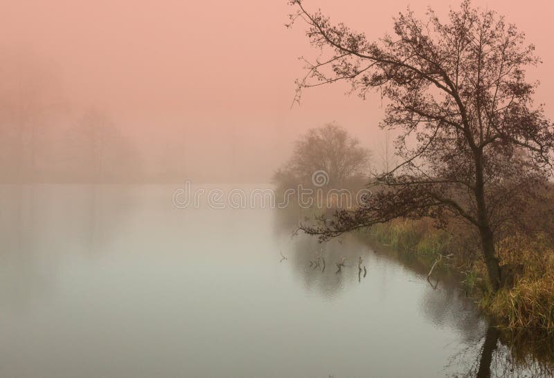 Alba mistica in autunno dallo stagno fotografia stock libera da diritti Alba mistica in autunno dallo stagno fotografia stock libera da diritti