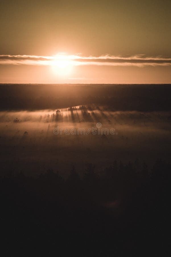 alba nebbiosa variopinta sopra la foresta con i raggi luminosi e della foschia - retro sguardo d'annata immagini stock alba nebbiosa variopinta sopra la foresta con i raggi luminosi e della foschia - retro sguardo d'annata immagini stock