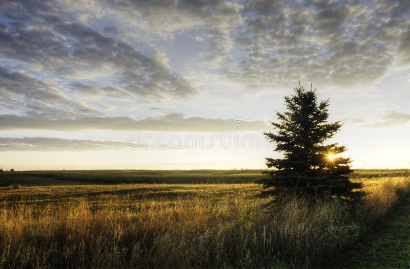 Alba nello Iowa fotografia stock libera da diritti Alba nello Iowa fotografia stock libera da diritti