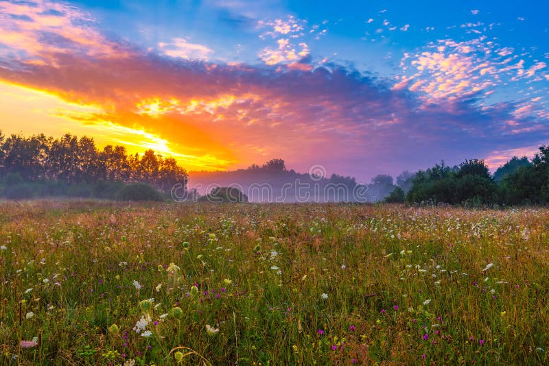 Alba vibrante di estate sopra il prato nebbioso e magico fotografie stock libere da diritti Alba vibrante di estate sopra il prato nebbioso e magico fotografie stock libere da diritti