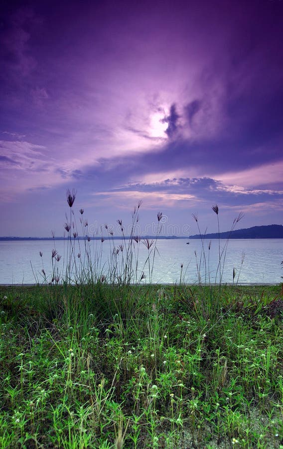 Alba viola, spiaggia immagine stock libera da diritti Alba viola, spiaggia immagine stock libera da diritti