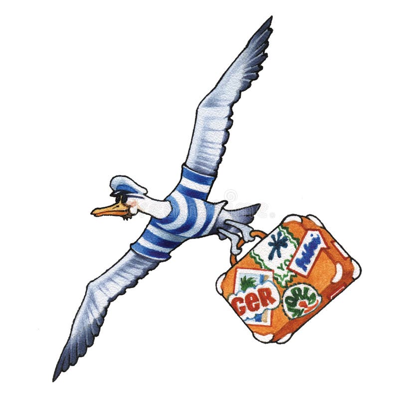 Смешная чайка рисунок