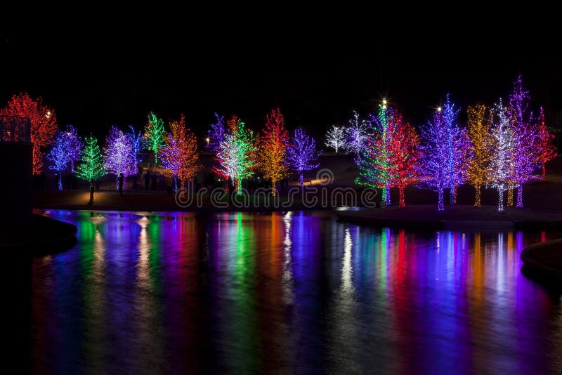 Alberi avvolti alle luci del LED per il Natale fotografia stock Alberi avvolti alle luci del LED per il Natale fotografia stock