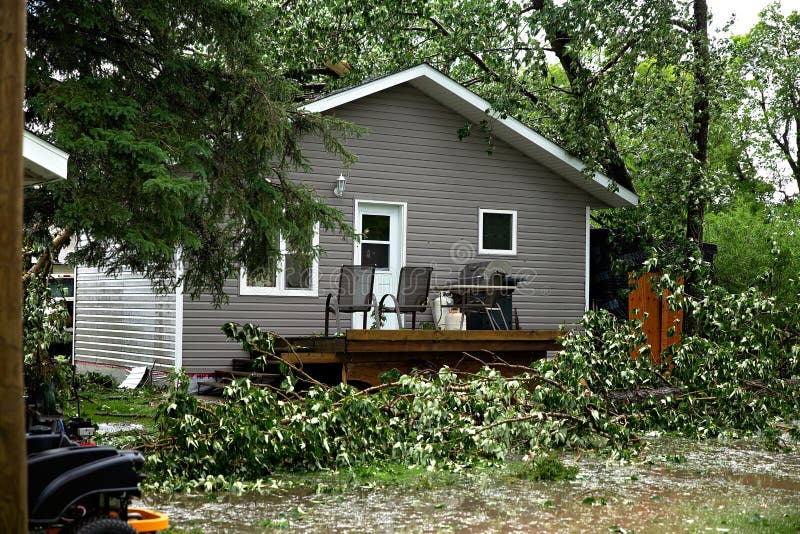 Back yard destruction from fallen trees and hail during a summer storm. Back yard destruction from fallen trees and hail during a summer storm