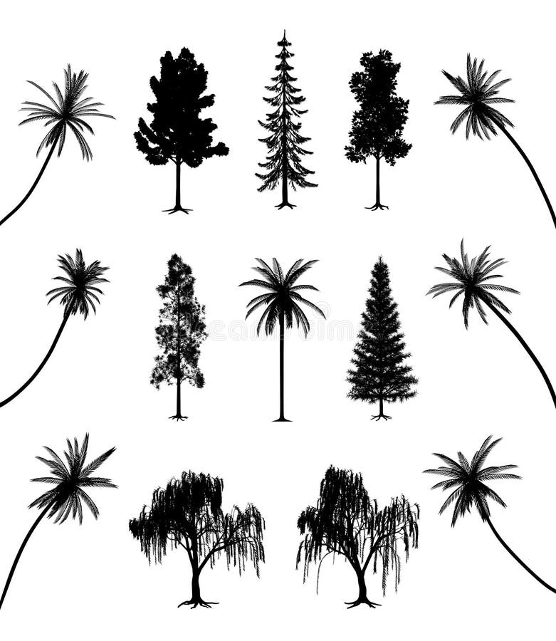 Alberi con le radici e le palme royalty illustrazione gratis Alberi con le radici e le palme royalty illustrazione gratis