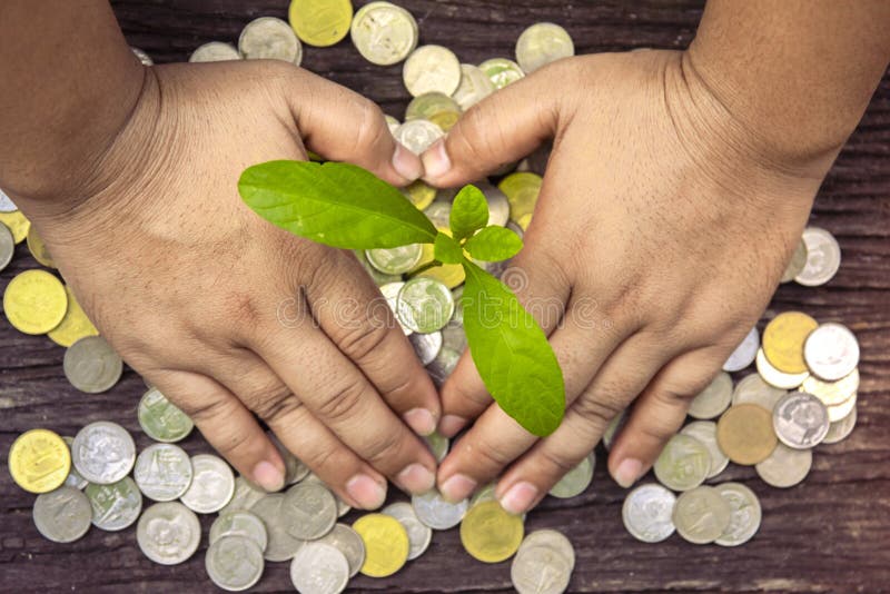 Alberi con soldi, soldi di risparmio e le mani crescenti immagine stock libera da diritti Alberi con soldi, soldi di risparmio e le mani crescenti immagine stock libera da diritti
